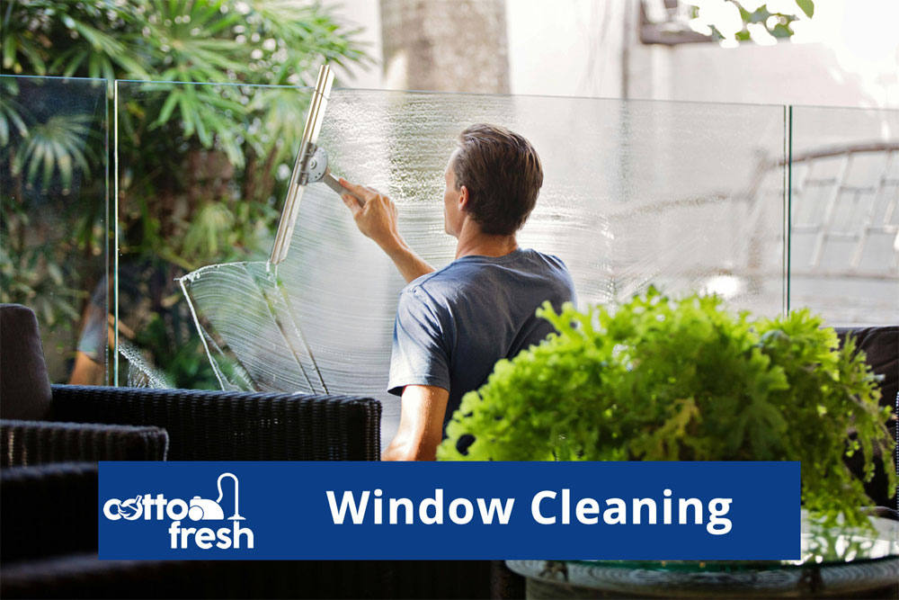 Window Cleaning